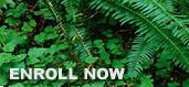 Enroll Now